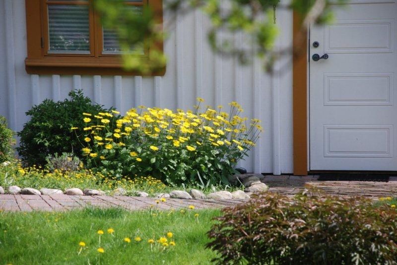 Blomster