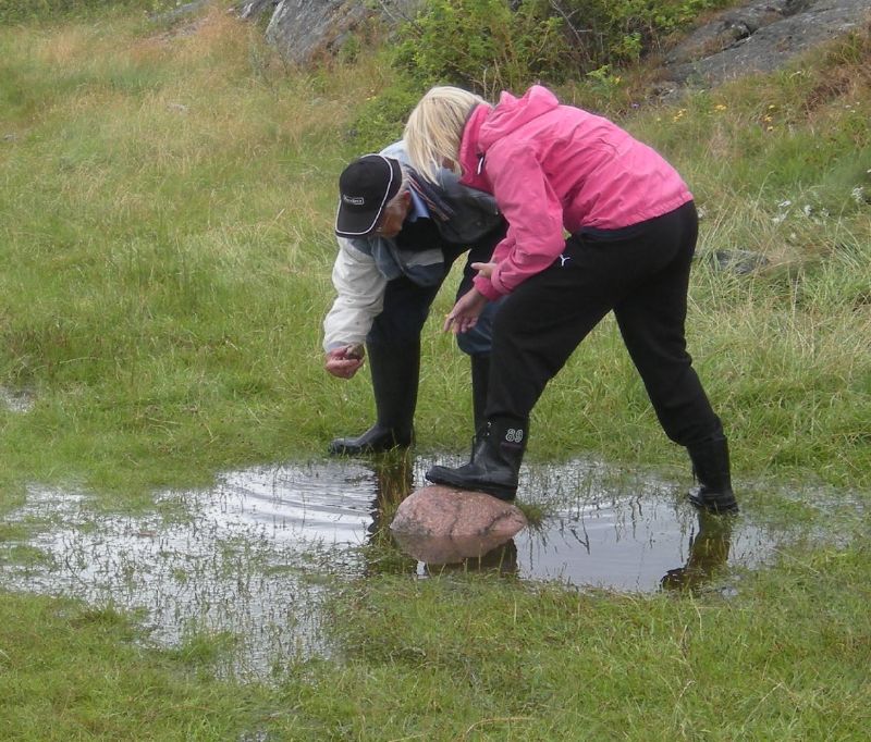 Ddenmsterskap 2011